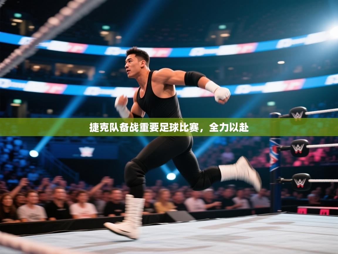 捷克队备战重要足球比赛，全力以赴  第1张