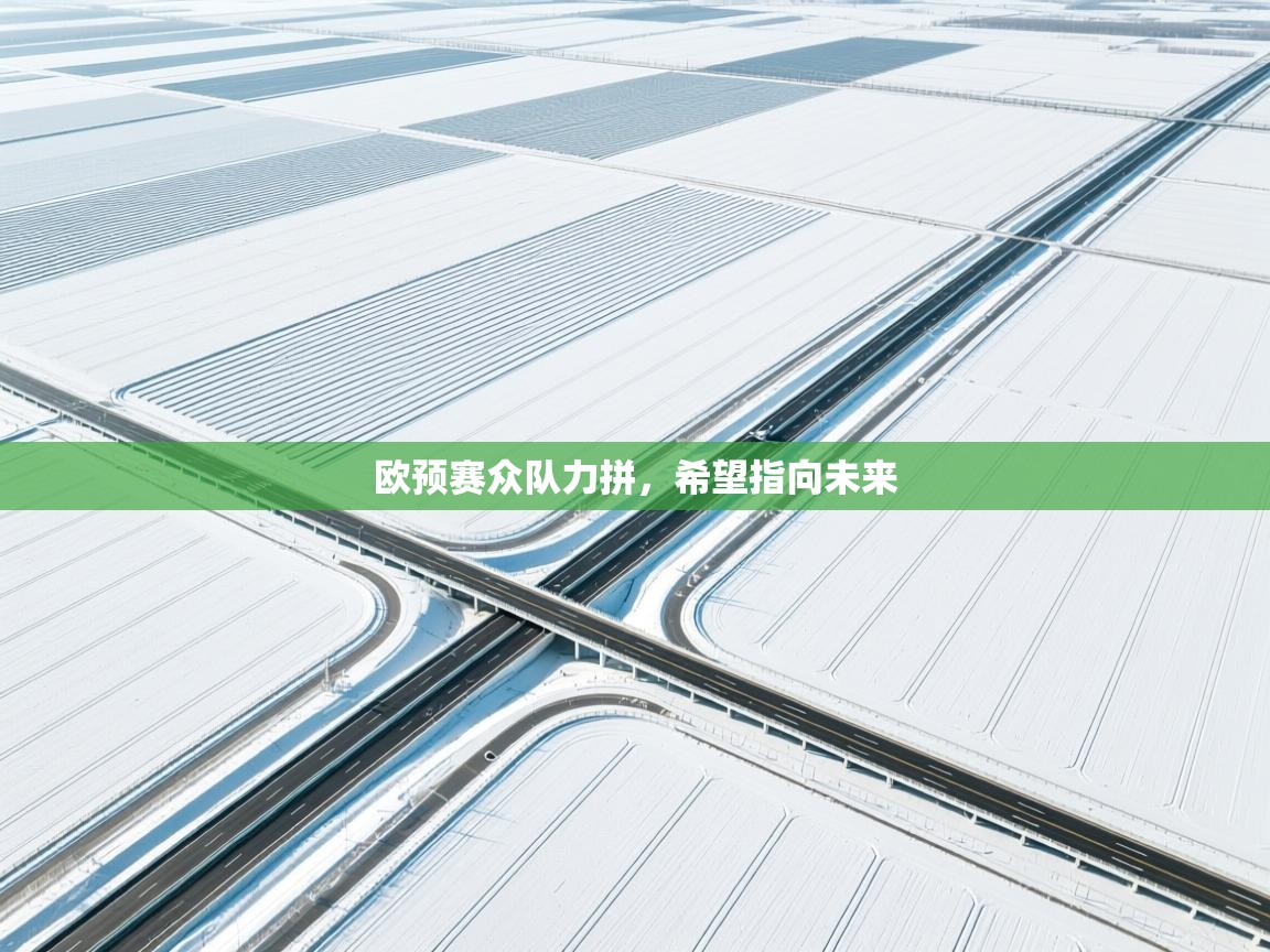 欧预赛众队力拼，希望指向未来  第1张
