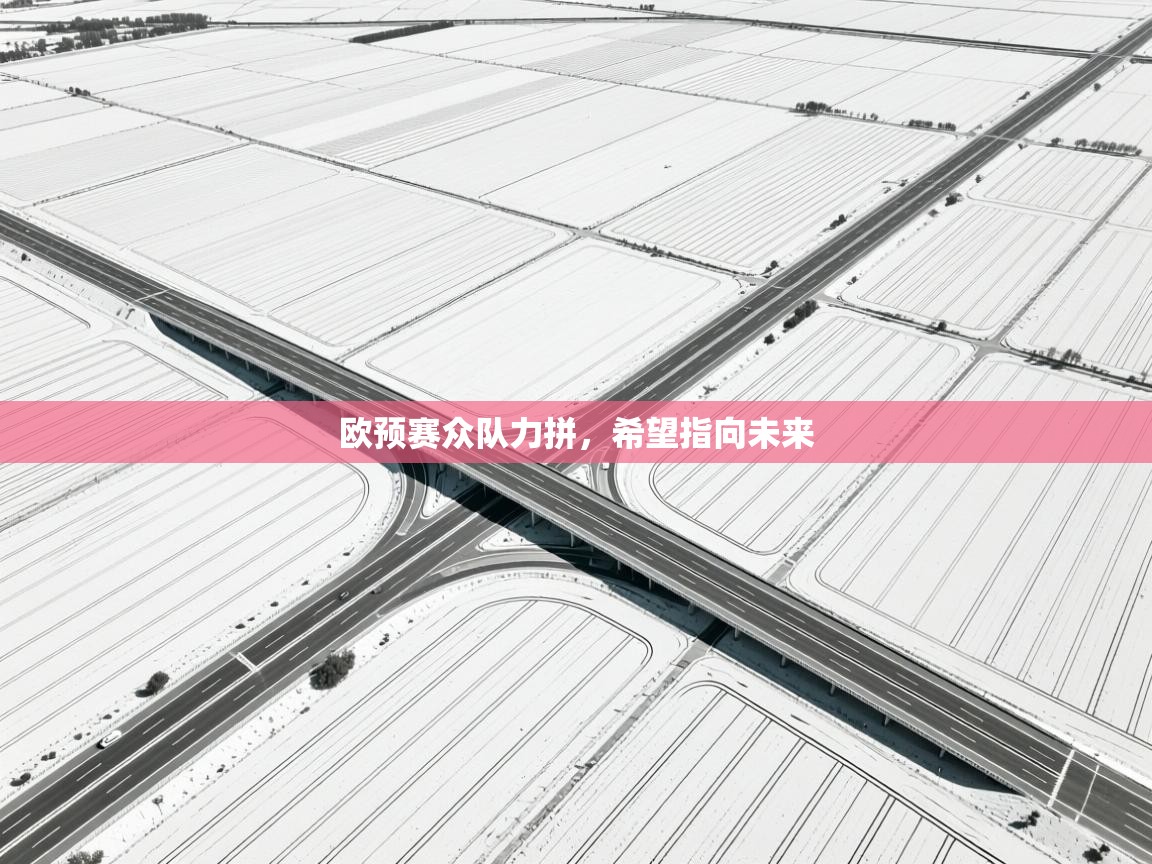 欧预赛众队力拼，希望指向未来  第2张