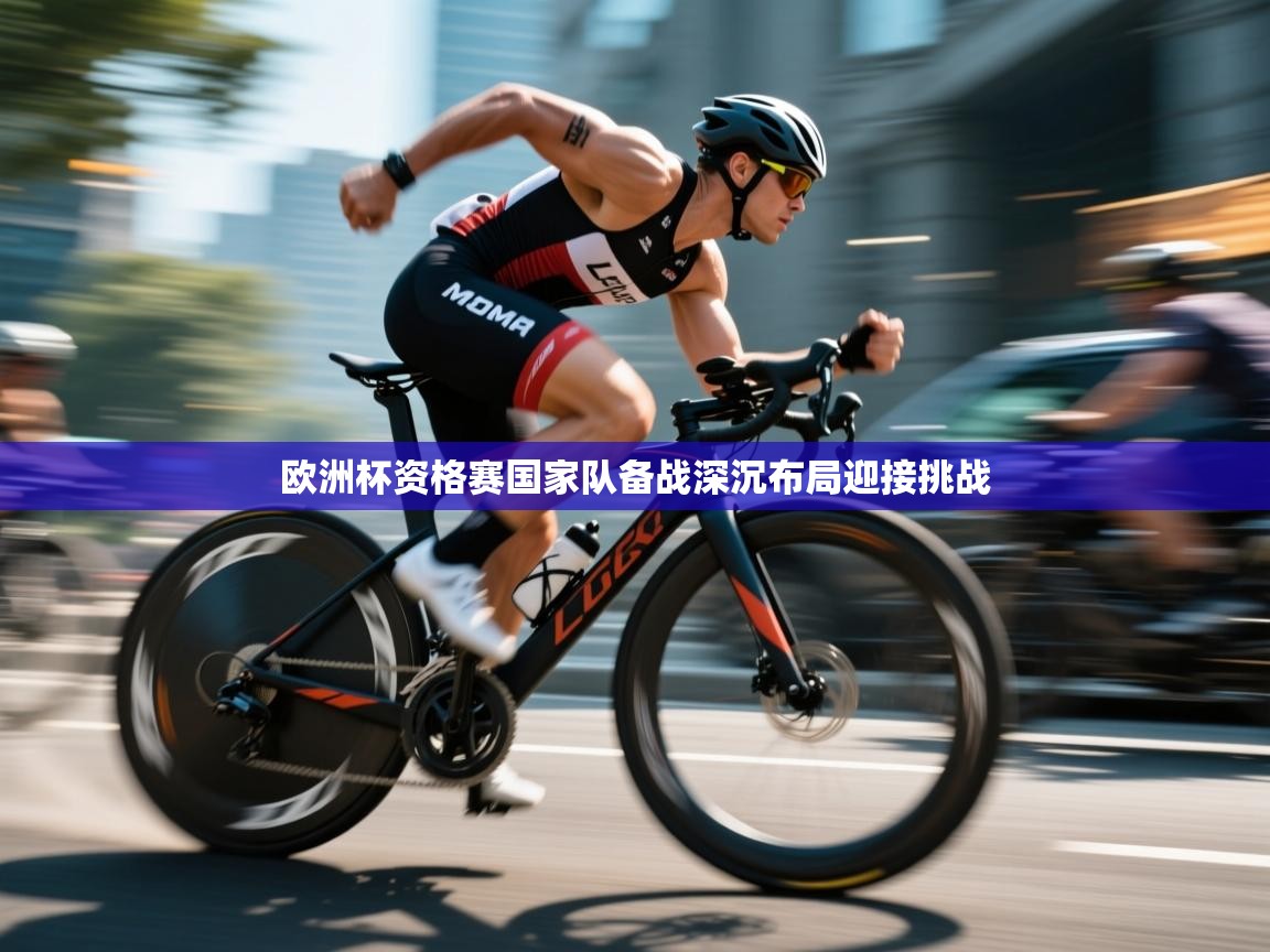 欧洲杯资格赛国家队备战深沉布局迎接挑战  第2张