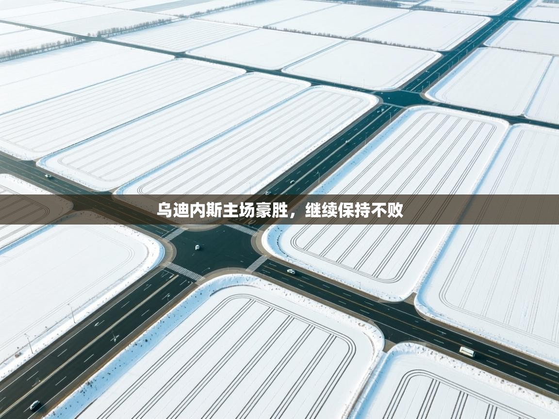 乌迪内斯主场豪胜，继续保持不败  第1张