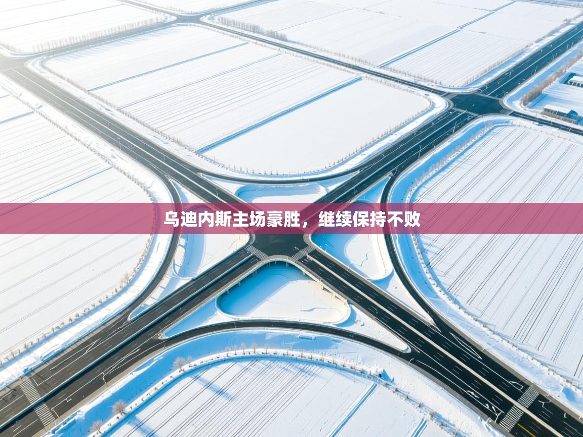 乌迪内斯主场豪胜，继续保持不败  第2张