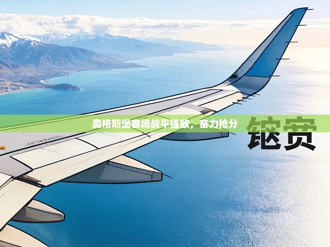 奥格斯堡客场战平强敌,奋力抢分 第2张